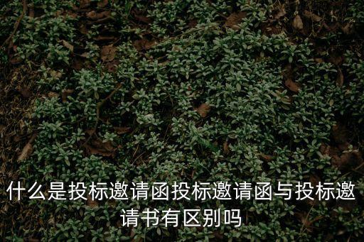 投標邀請函，什么是投標邀請函投標邀請函與投標邀請書有區別嗎