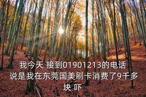 我今天 接到01901213的電話 說是我在東莞國美刷卡消費了9千多塊 嚇
