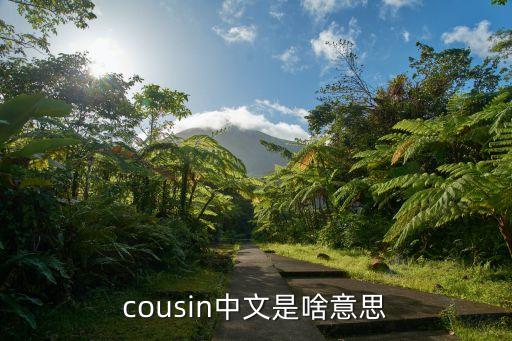 cousin中文是啥意思