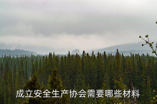 安全生產協會，安全生產管理協會是什么性質的單位