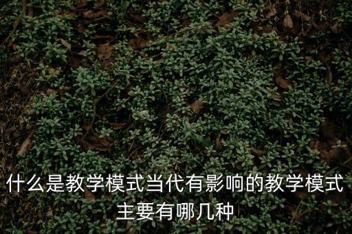 什么是教學(xué)模式當(dāng)代有影響的教學(xué)模式主要有哪幾種