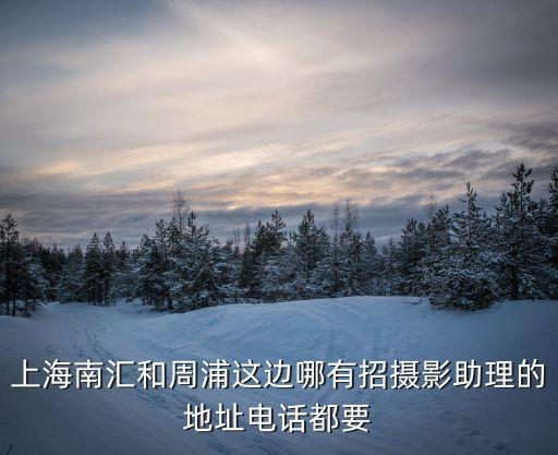上海市招助理電話號碼微信，上海南匯和周浦這邊哪有招攝影助理的地址電話都要