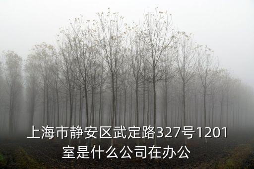 上海市靜安區武定路327號1201室是什么公司在辦公