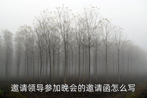 邀請領導參加晚會的邀請函怎么寫