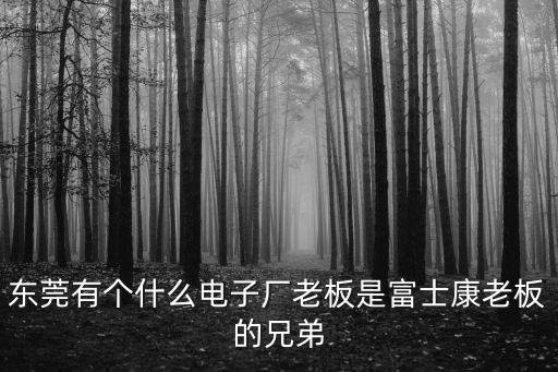 東莞有個什么電子廠老板是富士康老板的兄弟