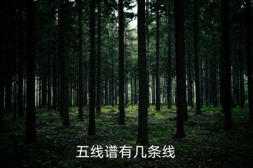 五線譜上有幾根線，五線普有幾根線