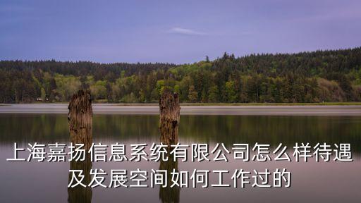 上海嘉揚信息系統有限公司怎么樣待遇及發展空間如何工作過的