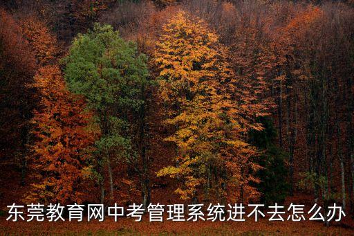東莞教育網中考管理系統進不去怎么辦