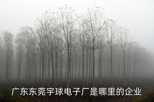 廣東東莞宇球電子廠是哪里的企業(yè)