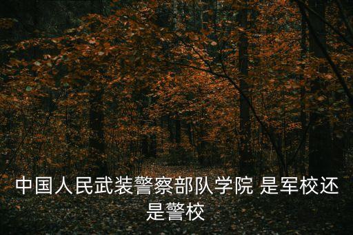 中國(guó)人民武裝警察部隊(duì)學(xué)院 是軍校還是警校