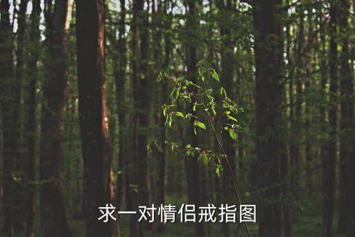 情侶戒指圖片，求一對情侶戒指圖