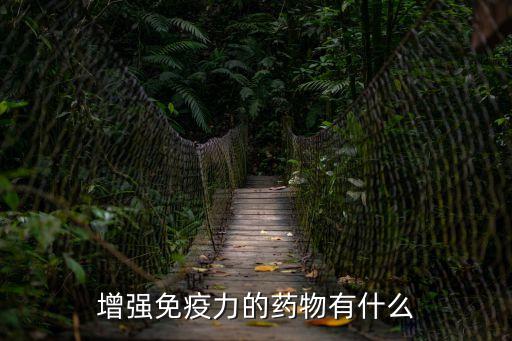 增強免疫力的藥物有什么