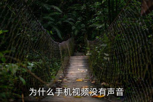 為什么手機視頻沒有聲音