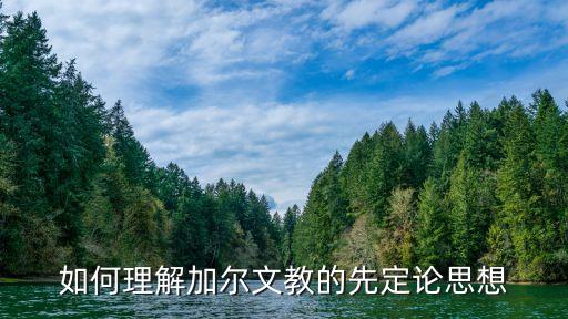 如何理解加爾文教的先定論思想