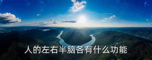 人的左右半腦各有什么功能