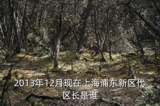 2013年12月現在上海浦東新區代區長是誰