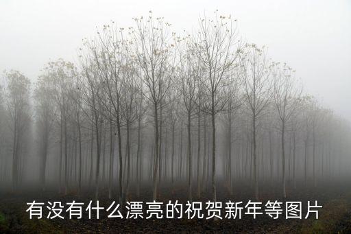 有沒有什么漂亮的祝賀新年等圖片