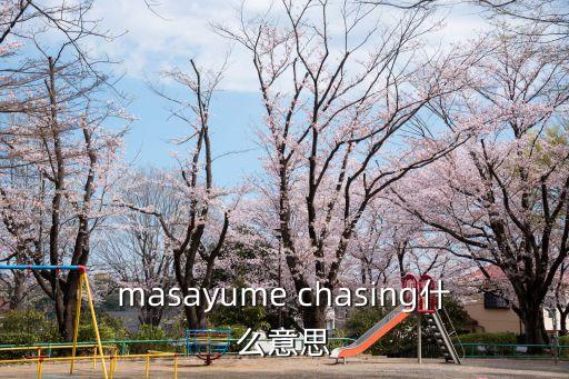 追趕英語，The cat is often chased追趕by dog