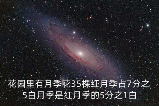 白月季，有白色月季嗎
