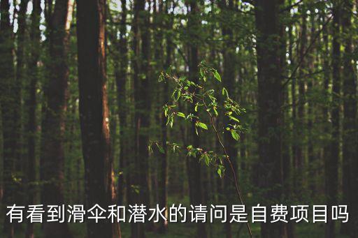 滑傘，花兒與少年第二季滑傘是的英文歌曲