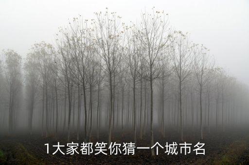 大家都笑你打一城市名，猜城市名大家都笑你