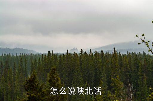 怎么說陜北話