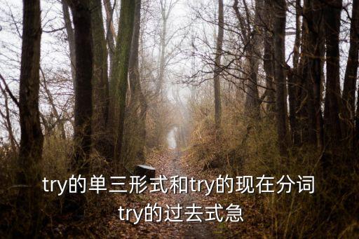 try的現(xiàn)在分詞，try的單相式 現(xiàn)在分詞 過(guò)去時(shí) 過(guò)去分詞是什么