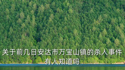 萬寶山事件，關于前幾日安達市萬寶山鎮(zhèn)的殺人事件有人知道嗎
