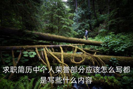 個人榮譽簡介范例，個人簡歷的內容 個人簡歷榮譽怎么寫