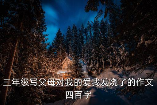 三年級寫父母對我的愛我發燒了的作文四百字