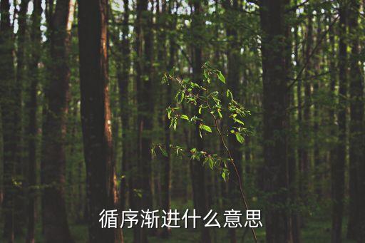 循序漸進什么意思