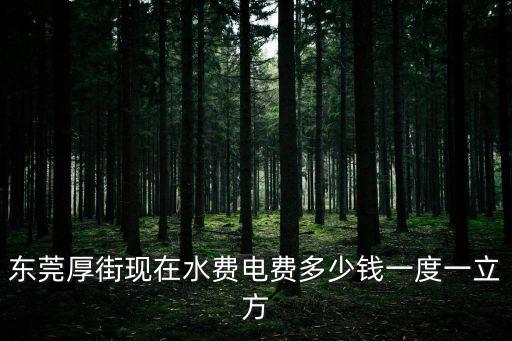 東莞水電收費標準，東莞厚街現在水費電費多少錢一度一立方