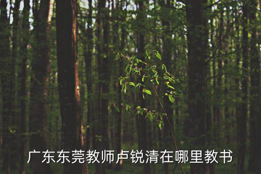 廣東東莞教師盧銳清在哪里教書