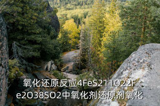 氧化還原反應4FeS211O22Fe2O38SO2中氧化劑還原劑氧化