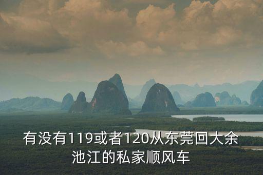 有沒(méi)有119或者120從東莞回大余池江的私家順風(fēng)車(chē)