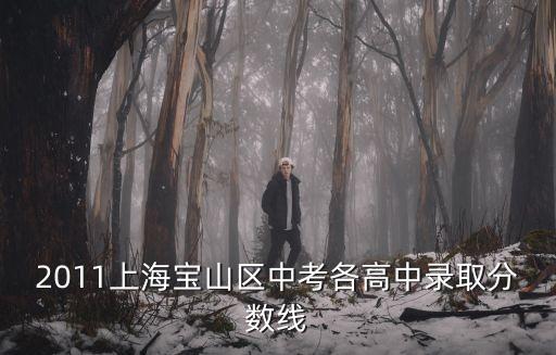 上海市寶山區2018年一模分數段，為什么同樣一個學校2018年寶山區的普通高中投檔分數線要比普陀區