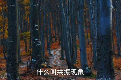共振效應(yīng)，什么是共振效應(yīng)要詳細(xì)些