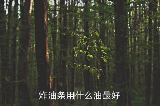 炸油條用什么油最好