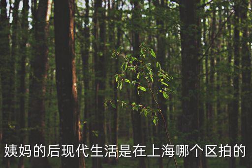 姨媽的后現(xiàn)代生活是在上海哪個(gè)區(qū)拍的