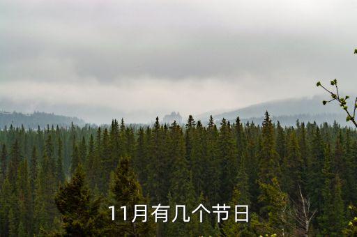 11月有幾個(gè)節(jié)日