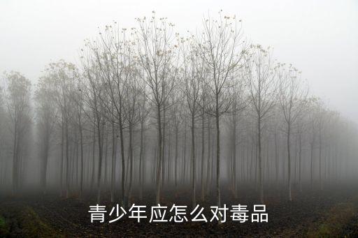 青少年應怎么對毒品