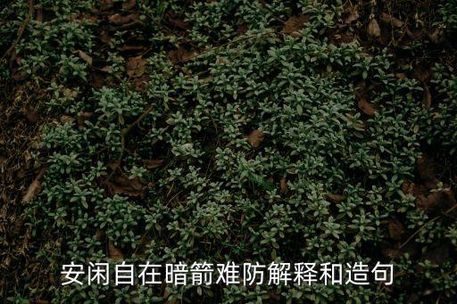 安閑自在暗箭難防解釋和造句
