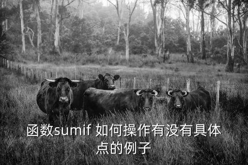 函數sumif 如何操作有沒有具體點的例子