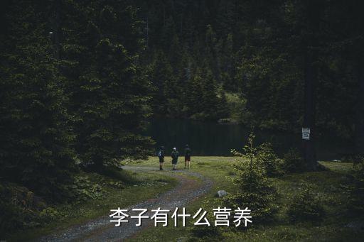 李子的營養價值，李子有什么營養