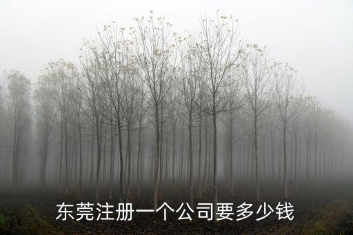 東莞注冊(cè)一個(gè)公司要多少錢