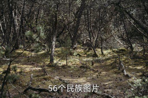 民族大團結圖片，有關于民族團結的資料