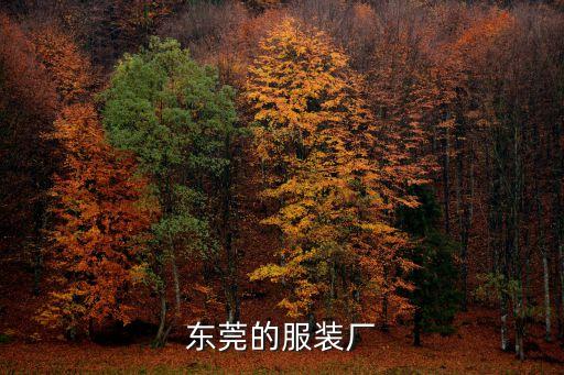 東莞的服裝廠
