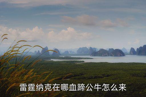 雷霆納克在哪血蹄公牛怎么來