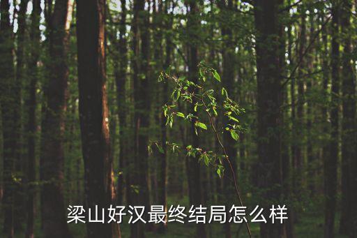 梁山好漢的結局，梁山好漢最終結局怎么樣