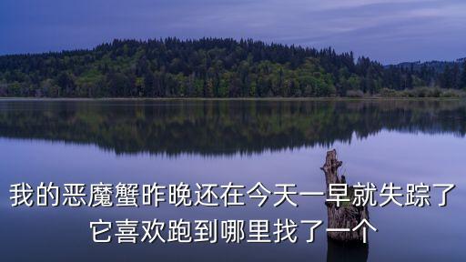 我的惡魔蟹昨晚還在今天一早就失蹤了它喜歡跑到哪里找了一個